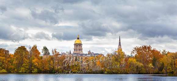 241-Golden Dome-Fall