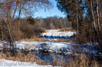 8-Cobus Creek Winter