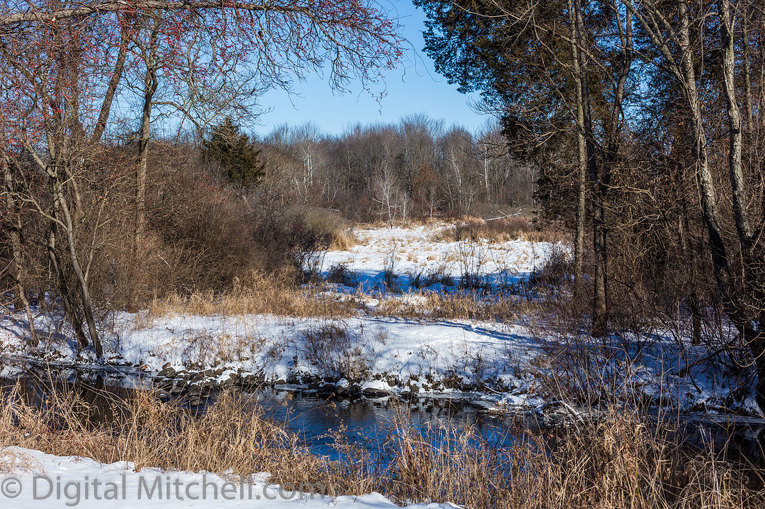 8-Cobus Creek Winter