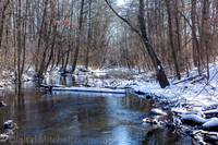 52-Cobus Creek Winter
