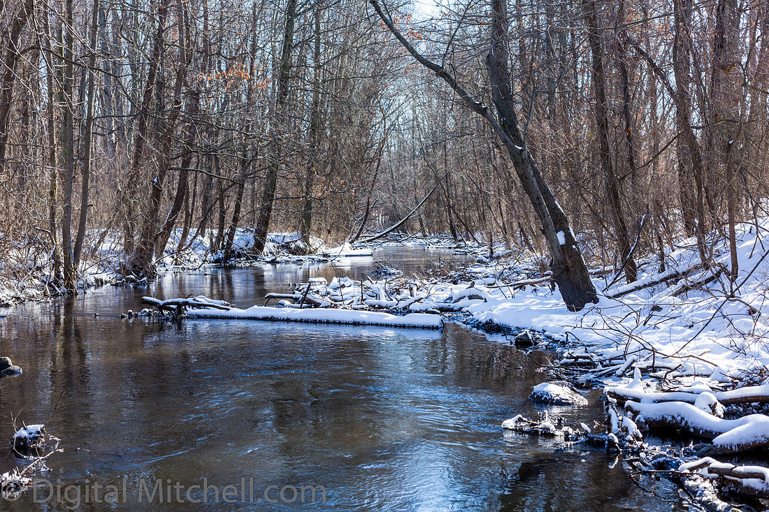 52-Cobus Creek Winter