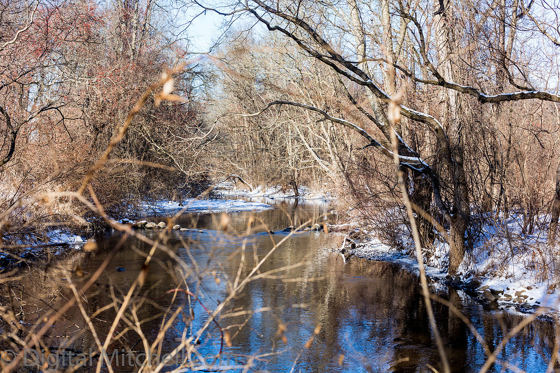 58-Cobus Creek Winter