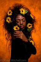 33-Onesty -Sunflowers