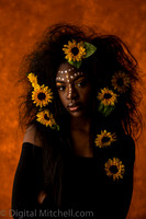 69-Onesty -Sunflowers