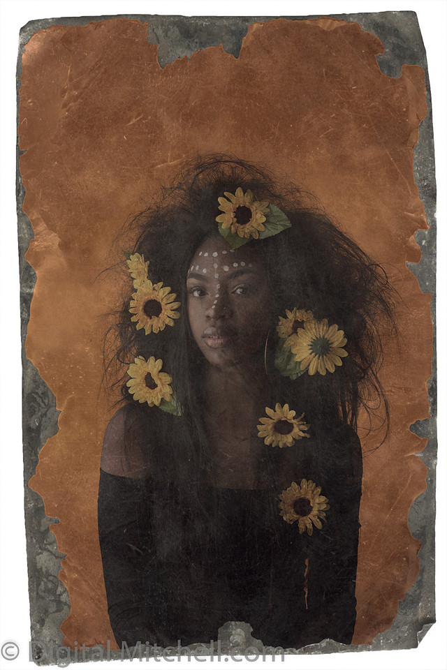 53-Onesty -Sunflowers-Edit