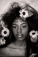 104-Onesty -Sunflowers-Edit