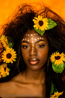 104-Onesty -Sunflowers