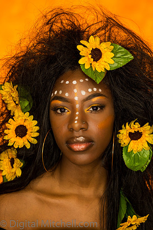 104-Onesty -Sunflowers