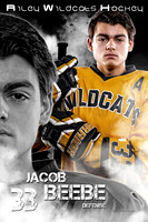 33-Jacob Beebe 40x60