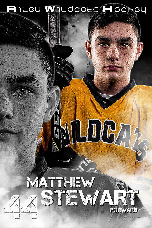 44-Matthew Stewart 40x60