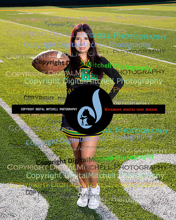 294-NHS 2024 Fall
