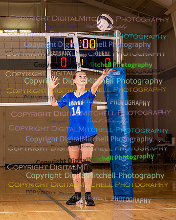 41-BethanyC-MS-VB