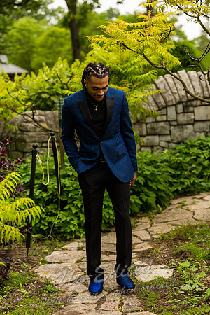 2-Dimetri