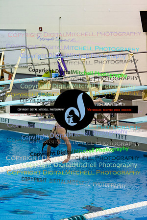 31-CHS 2023 Swim Dive Spotlight on Certain Individuals