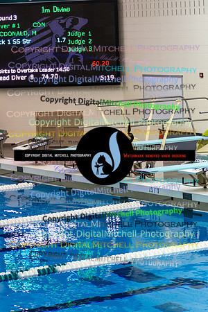 39-CHS 2023 Swim Dive Spotlight on Certain Individuals