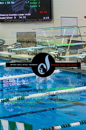 41-CHS 2023 Swim Dive Spotlight on Certain Individuals