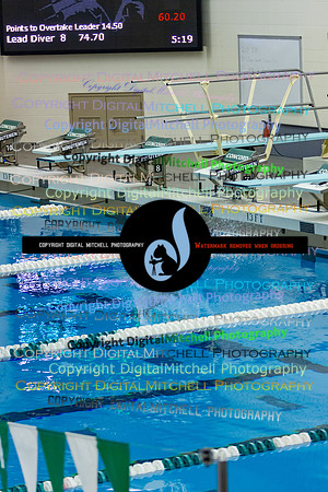 42-CHS 2023 Swim Dive Spotlight on Certain Individuals