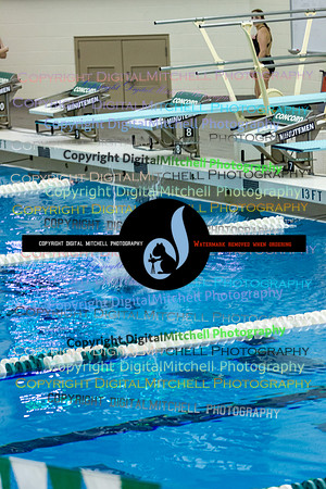 53-CHS 2023 Swim Dive Spotlight on Certain Individuals