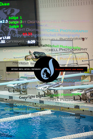61-CHS 2023 Swim Dive Spotlight on Certain Individuals