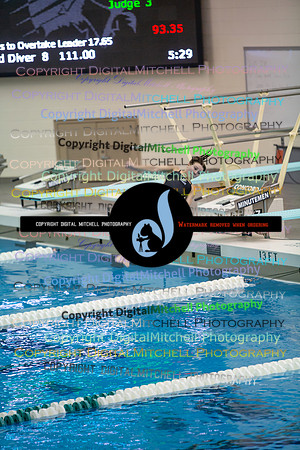 65-CHS 2023 Swim Dive Spotlight on Certain Individuals