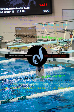 66-CHS 2023 Swim Dive Spotlight on Certain Individuals