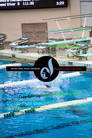 67-CHS 2023 Swim Dive Spotlight on Certain Individuals