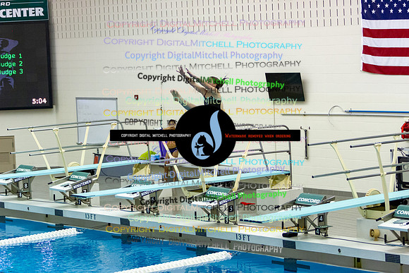3-CHS 2023 Swim Dive Spotlight on Certain Individuals