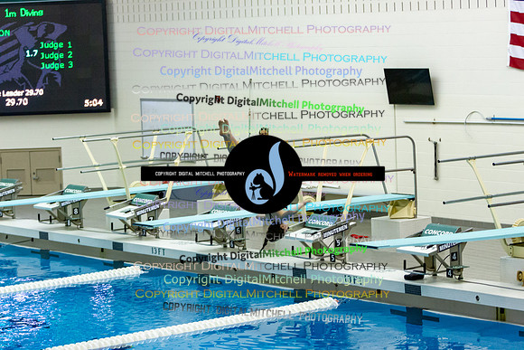 4-CHS 2023 Swim Dive Spotlight on Certain Individuals