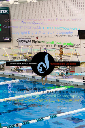 8-CHS 2023 Swim Dive Spotlight on Certain Individuals