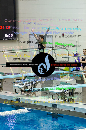 10-CHS 2023 Swim Dive Spotlight on Certain Individuals