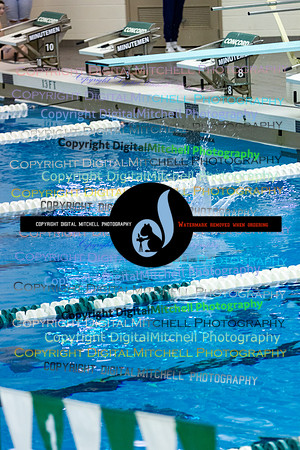 14-CHS 2023 Swim Dive Spotlight on Certain Individuals
