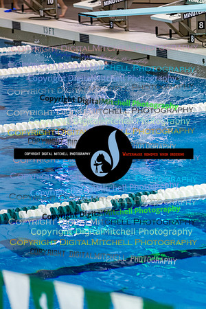 20-CHS 2023 Swim Dive Spotlight on Certain Individuals