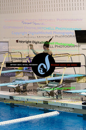 28-CHS 2023 Swim Dive Spotlight on Certain Individuals