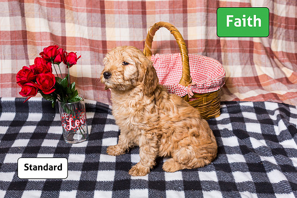 103-FBP 3-11-19-Edit