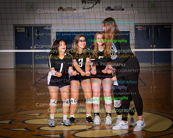 160-2024 VB