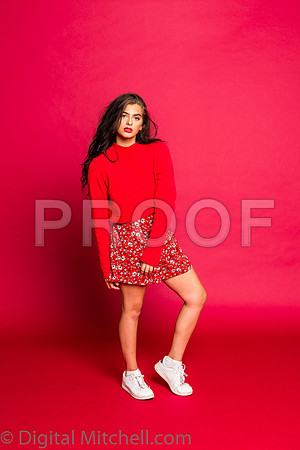 221-4 Girls on Yellow n Red