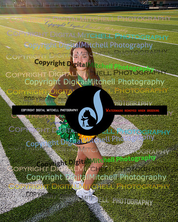 524-NHS 2024 Fall
