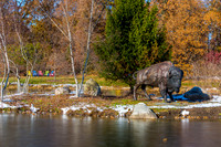 20-Bison at Wellfield-HDR-E