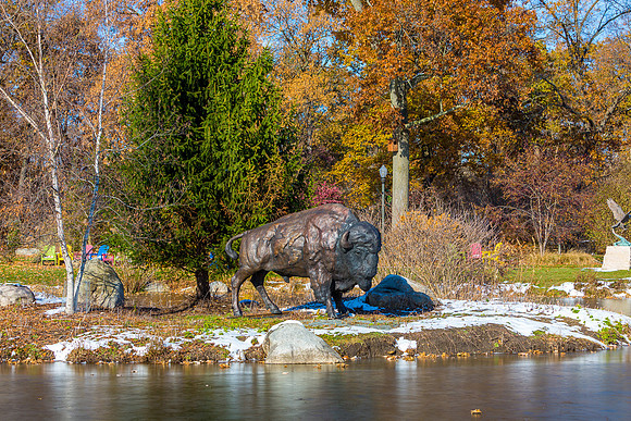 2-Bison at Wellfield-E
