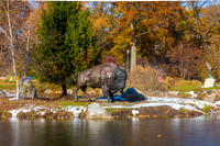 10-Bison at Wellfield-HDR-E