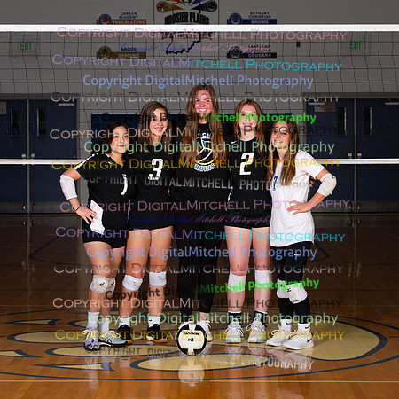 172-2024 VB