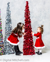 286-X-Mas Little Girls Session-E