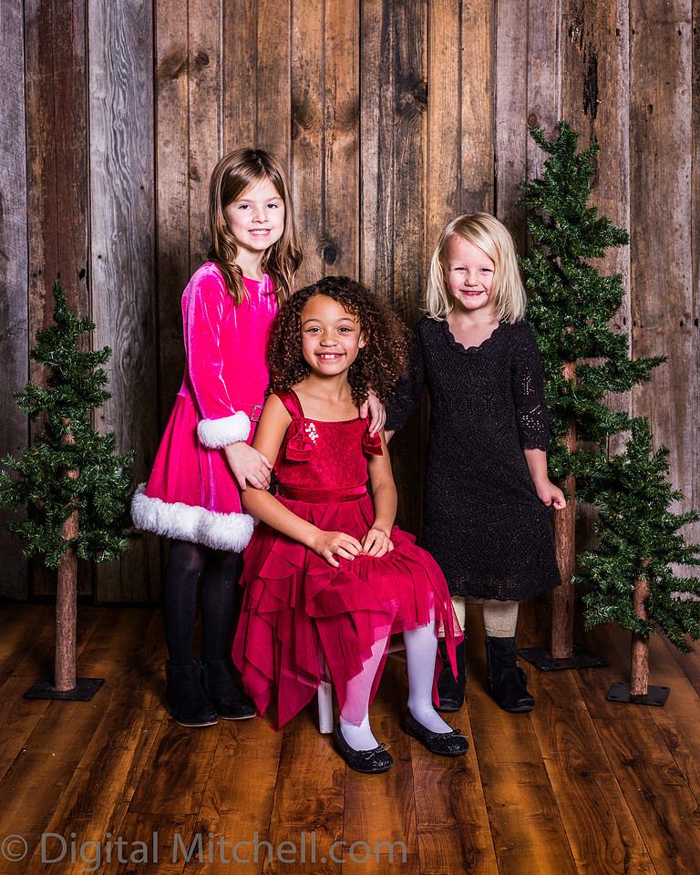 image of little girls in Christmas dresses