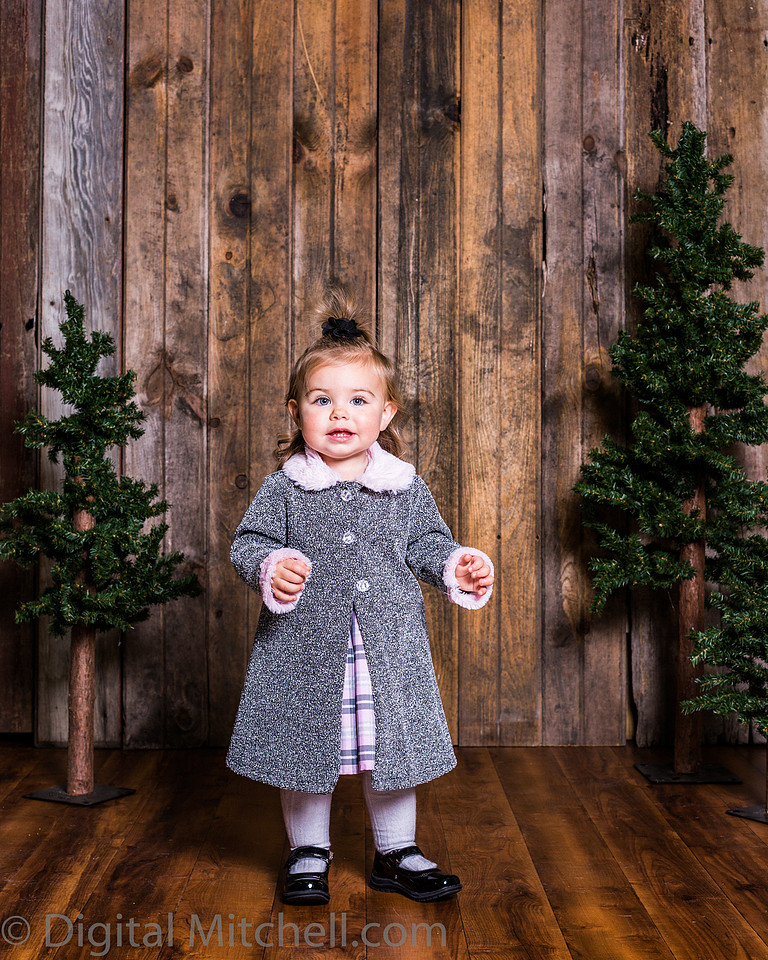 image of little girls in Christmas dresses