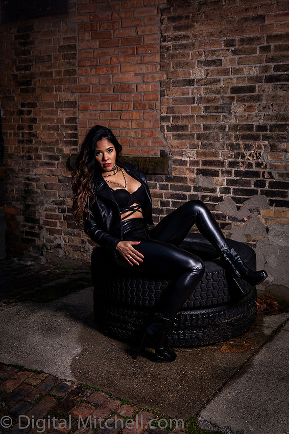 9Image of a Rocker Girl in black leather against a brick wall