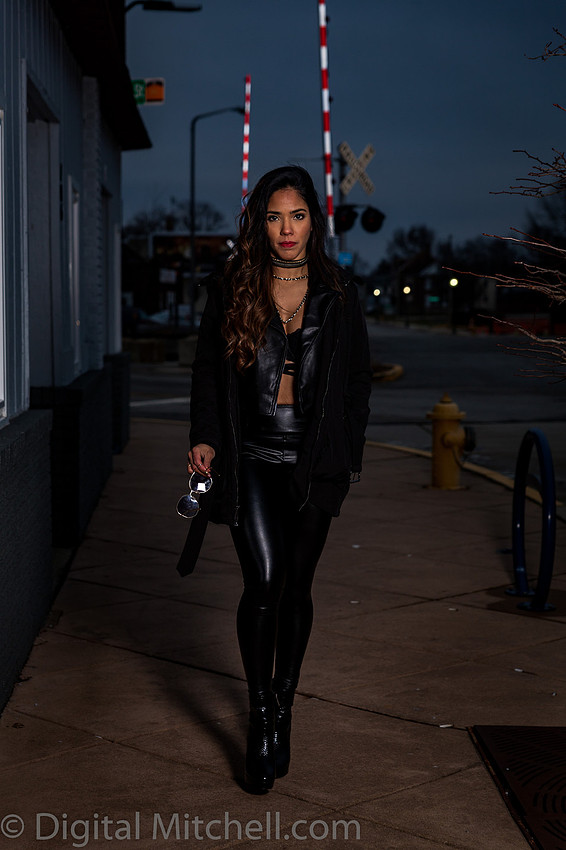 9Image of a Rocker Girl in black leather against a brick wall