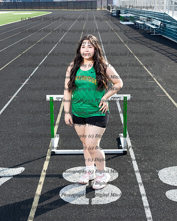 115-NHS Track 2024