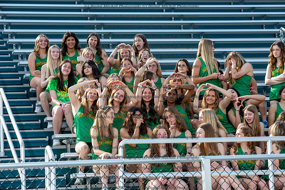 143-NHS Track 2024