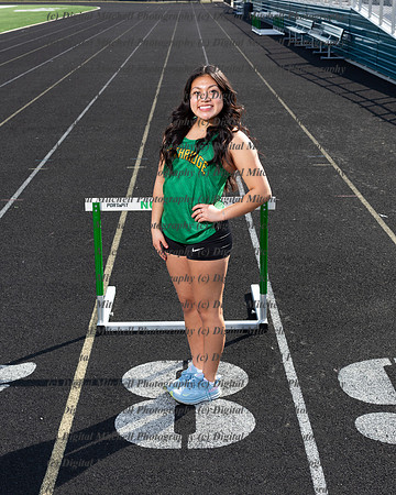 83-NHS Track 2024