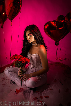 249-Brianne Valentines